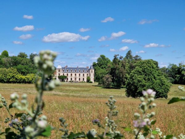 Ayurvedic massages and treatments, yoga and meditation retreat in Allier, France