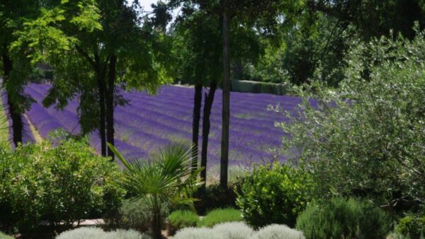 Qi gong and meditation retreat in Drôme Provençale with Franck Goeury, optional shiatsu and sophrology