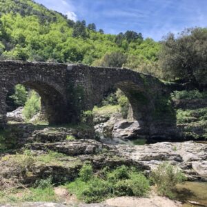 Retraite bain de forêt et marche consciente