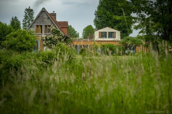 Retraite marche Afghane et pleine conscience en forêt normande