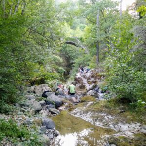 Weekend de Bain de Forêt et Marche consciente en Ardèche