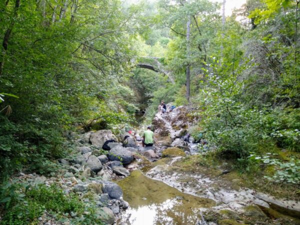 Weekend de Bain de Forêt et Marche consciente en Ardèche