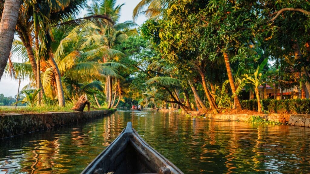 Pirogue de la cure ayurveda Inde