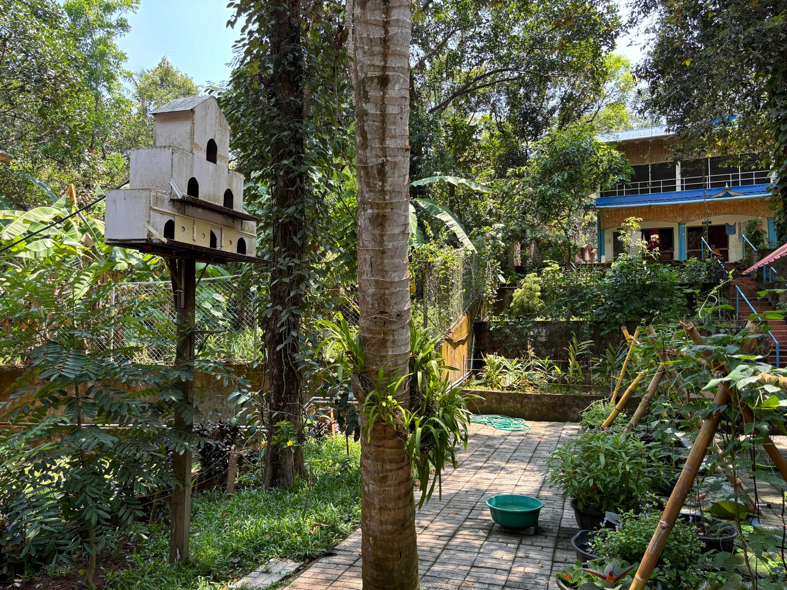 Jardin du centre ayurvedique