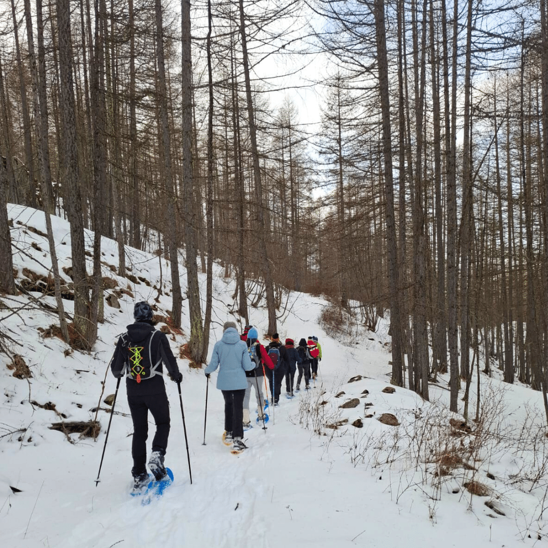 Groupe de personnes faisant une randonnée en raquette dans une forêt enneigées lors de la retraite nouvel an