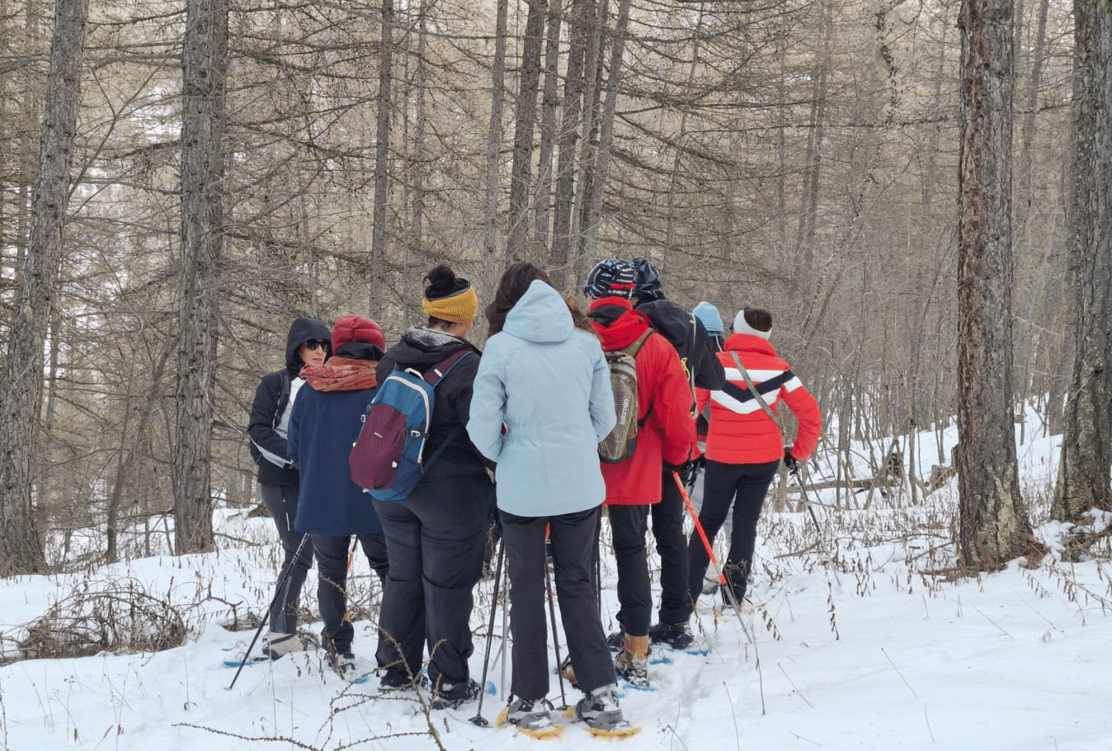 Groupe de personnes faisant une randonnée en raquette lors de la retraite nouvel an