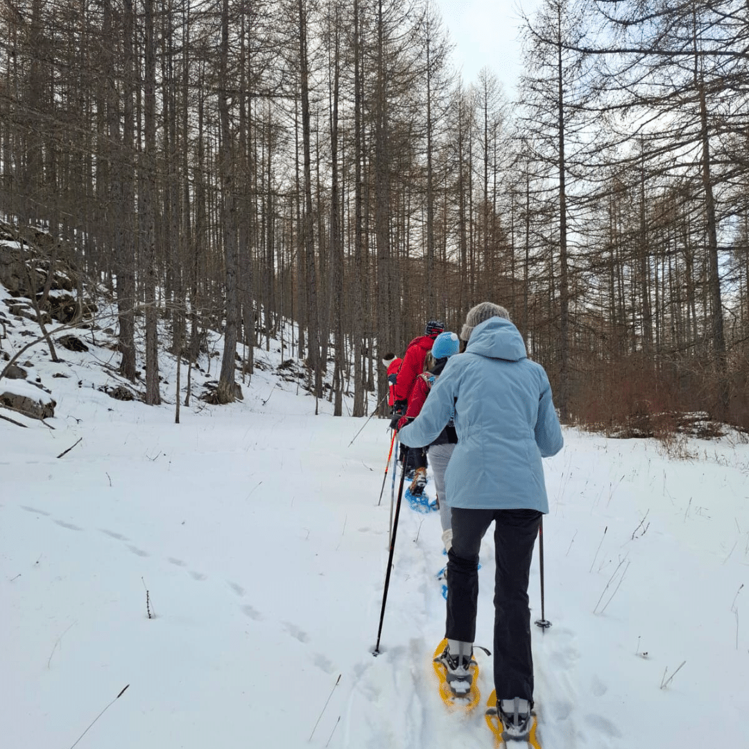 Groupe de personnes faisant une randonnée en raquette dans une forêt enneigées lors de la retraite nouvel an