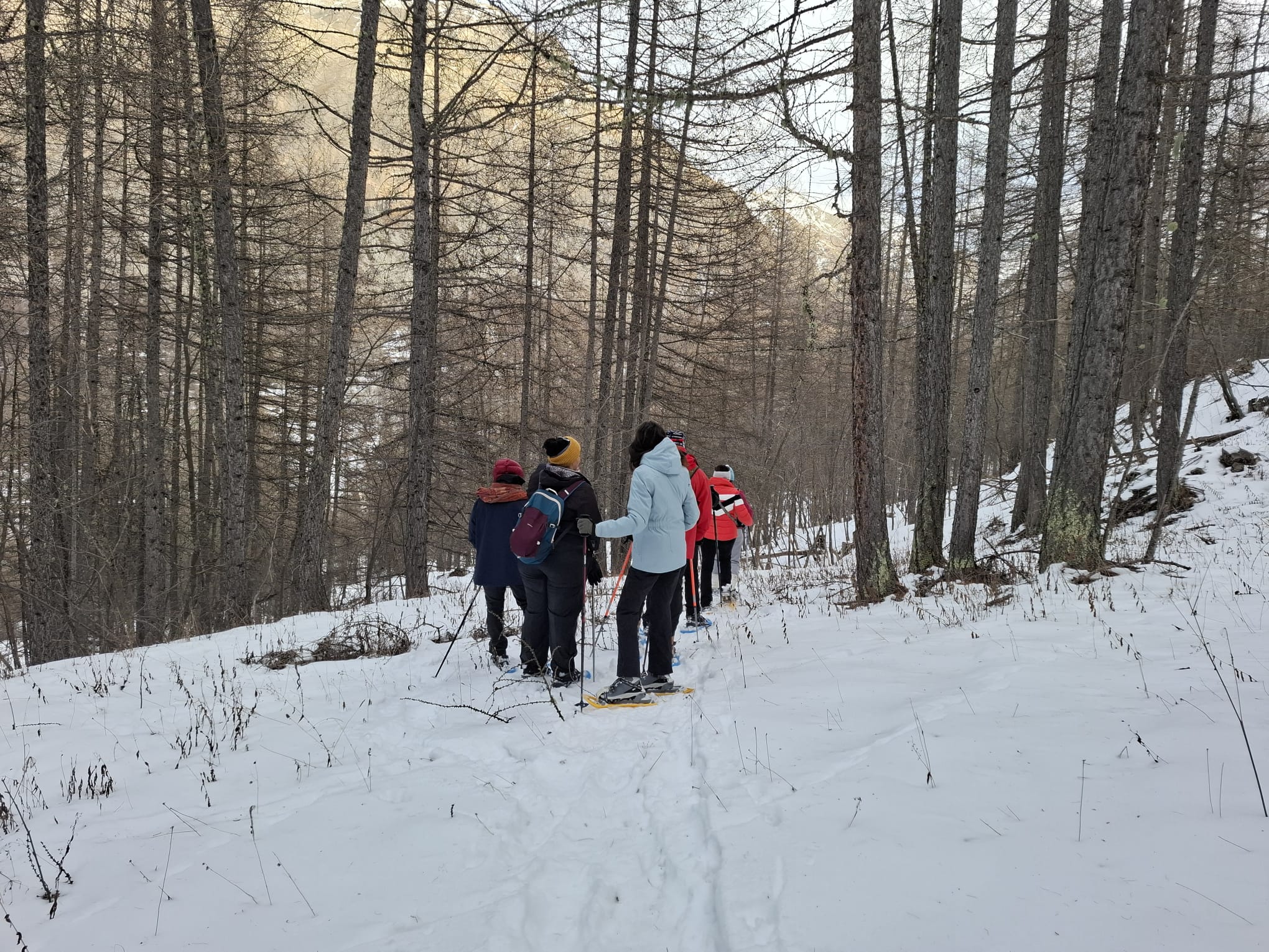 Groupe de personnes faisant une randonnée en raquette dans une forêt enneigées lors de la retraite nouvel an