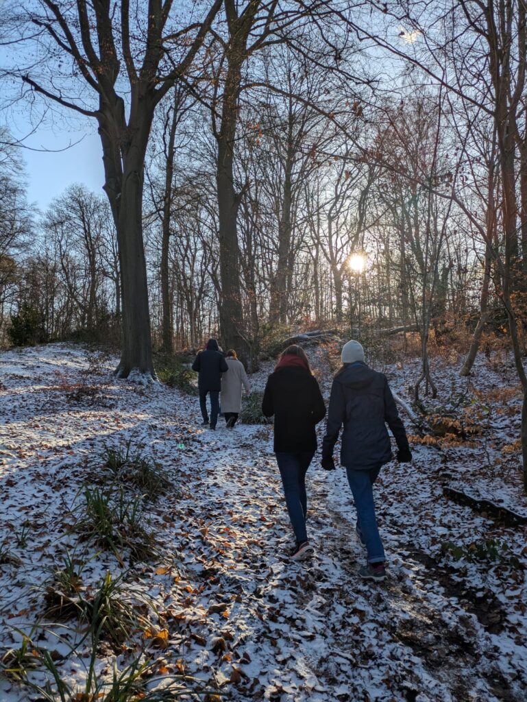 Balade dans la forêt lors de la retraite yoga nouvel an
